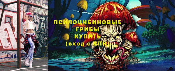 винт Бронницы